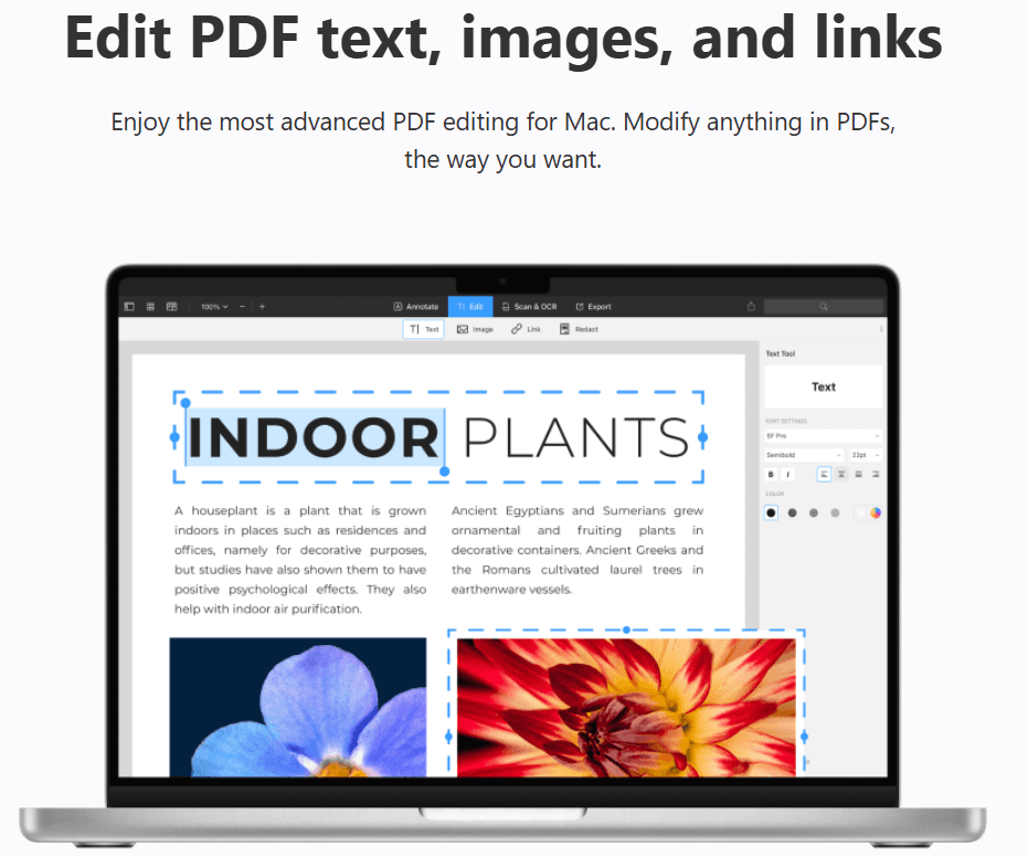 PDF Expert