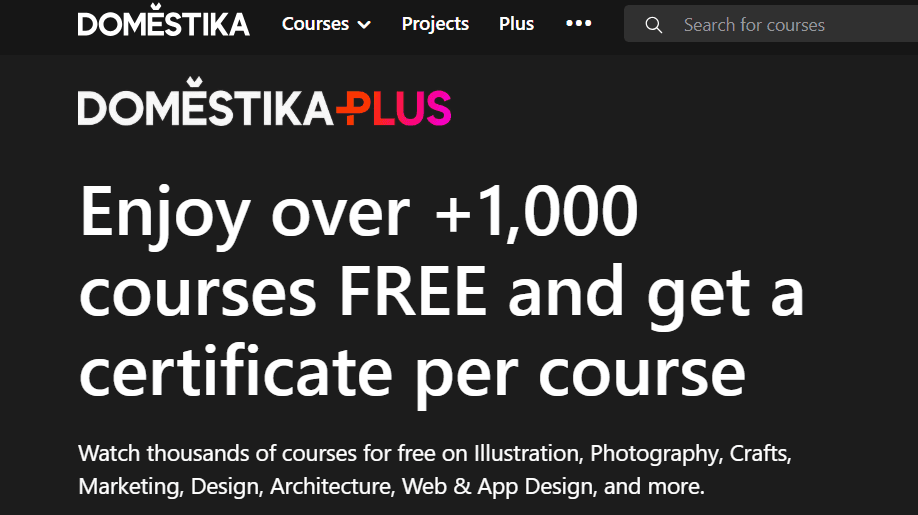 Domestika courses
